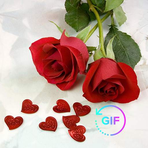 Love Flowers And Roses 🌹 wallpapers GIF 2020