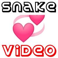 Indian Snake Video Hot - Short Snake Lite Video