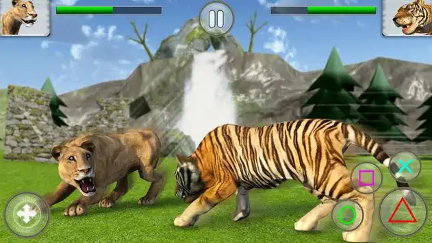 Big Cat Fighting Big Cat Fighting