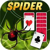 Spider Solitaire