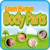 Learn Human Body Parts on 9Apps