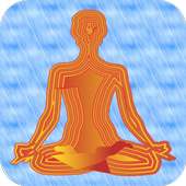 Patanjali Yoga on 9Apps