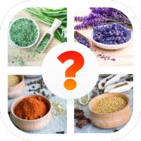 Herbs and Spices Quiz (Food Quiz Game)