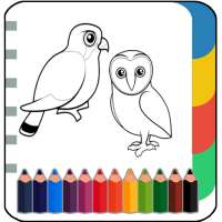 Birds Coloring & Drawing Book 
