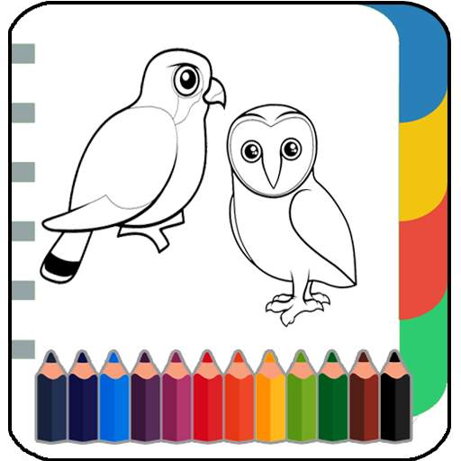 Birds Coloring & Drawing Book-