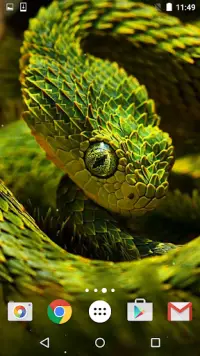 Snake Live Wallpaper HD APK Download 2023 - Free - 9Apps Snake Live Wallpaper HD APK Download 2023 - Free - 9Apps