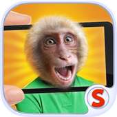 Face scanner: What Monkey