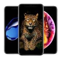 Wallpapers for iPhone 11 iOS 13