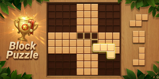 Wood Block Puzzle блочная игра скриншот 7