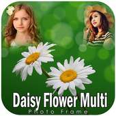 Daisy Flower Multi Photo Frames on 9Apps