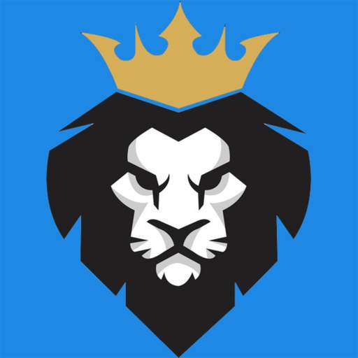 Lion Pro VPN