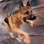 Собаки Игры Симулятор 3D