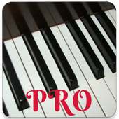 Echter Piano Pro