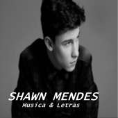 Shawn Mendes 50 Songs on 9Apps