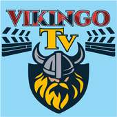 VIKINGO TV.2001
