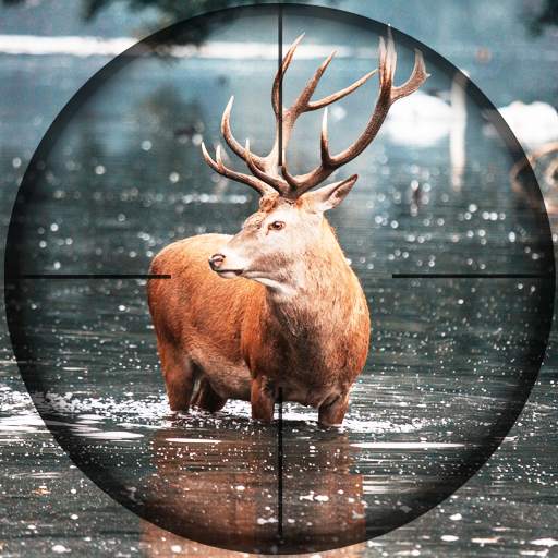 Animal Hunting 2021 : new deer hunting games