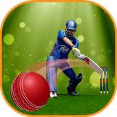 Indian Cricket: T20 Premier League