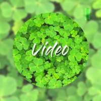 Green video wallpapers
