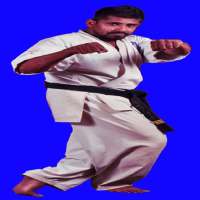 Karate Kyokushin on 9Apps