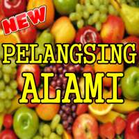 Ramuan Herbal Pelangsing Alami Dan Mudah Dibuat