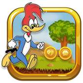 Woody adventures super woodpecker jungle Run