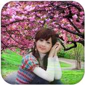 Sakura Photo Frames on 9Apps