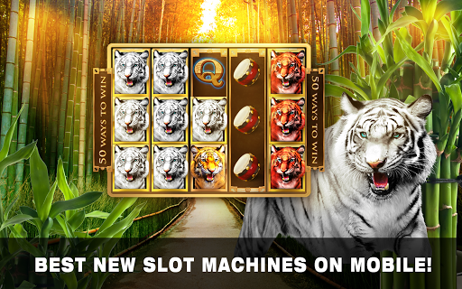 Slots Tiger King Casino Slots screenshot 11