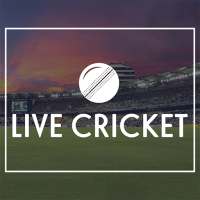 Cricket Arena Buzz - Live Scores & Updates