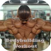 Gym and Fitness - Bodybuilder