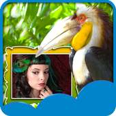 Birds Photo Selfie on 9Apps