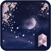 Spring & Cherry Blossom theme on 9Apps