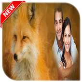 Fox photo frame