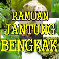 Ramuan Alami Jantung Bengkak Tanapa Efek Samping