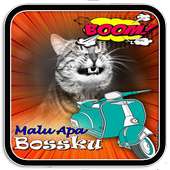 Malu Apa Boss Kita Photo Frame Maker on 9Apps