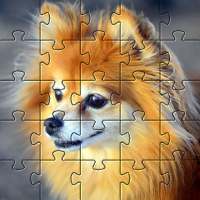 Pomeranians Jigsaw Puzzle 🧩🐕🧩🐶🧩