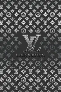Louis Vuitton Wavy Soft Trunk Wallet in Blurry Monogram FW22: review, what  fits, and try on 