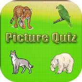 Picture Quiz