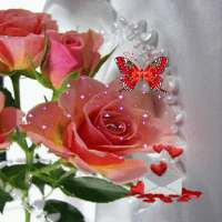 Pink Rose Butterfly LWP