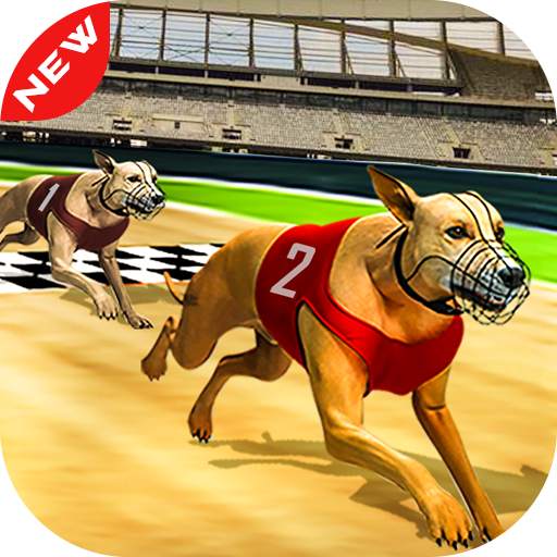 Dog real Racing  Derby Tournament: Dog Race Game