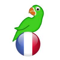 Learn French from scratch on 9Apps