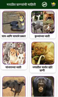 Animal Information in Marathi APK Download 2023 - Free - 9Apps