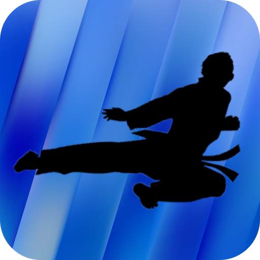 Taekwondo Training - Videos