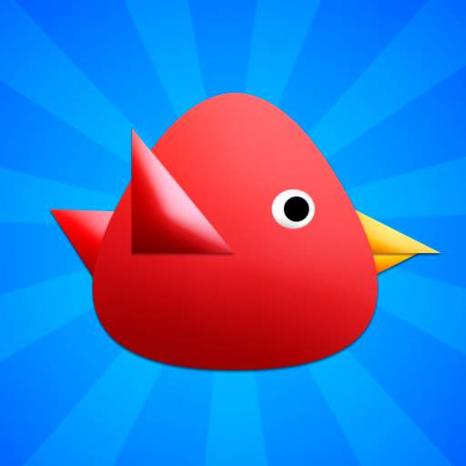 Cool Birds Game for Kids