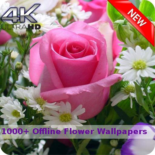 Flowers Wallpapers HD (Offline)
