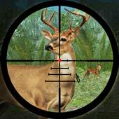 Forest Deer Hunting