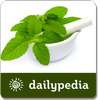 Holy Basil Daily