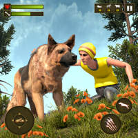 Wildhunde-Kampfspiel