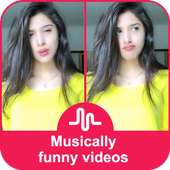 Funny Viral Videos of Musically on 9Apps