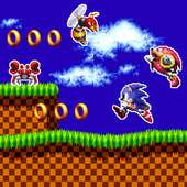 Sonic Advance Hedgehog