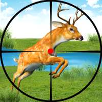 Deer Hunting Game : Wild Gun Games Shooter 2020 on 9Apps